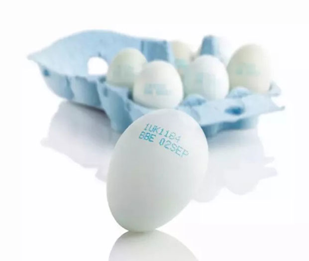 剖析喷码机在鸡蛋上所使用的墨水是否真的合规？