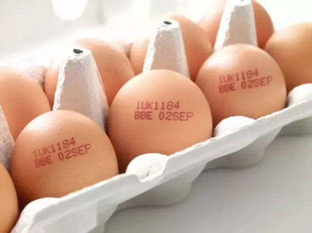 生产商必需相识小字符鸡蛋喷码机在使用中泛起散点的因素是什么？