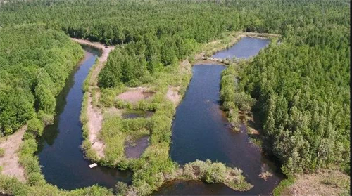 йyl23411()޹˾-ٷվ