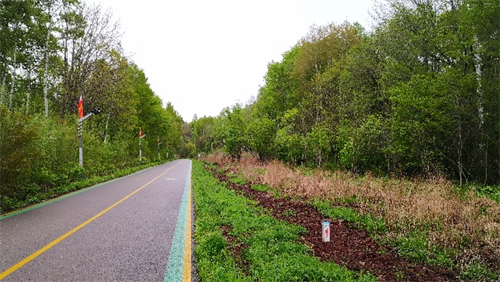 йyl23411()޹˾-ٷվ