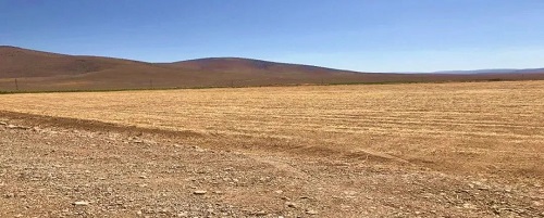 йyl23411()޹˾-ٷվ