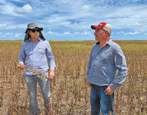 йyl23411()޹˾-ٷվ