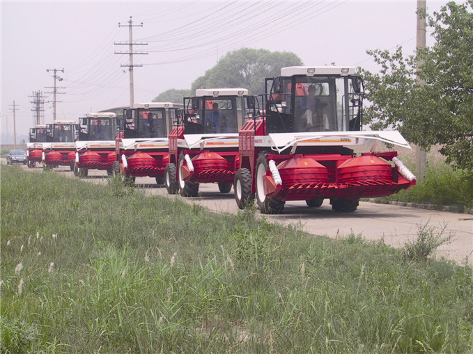 W020150513293865084668 W020150513293865084668