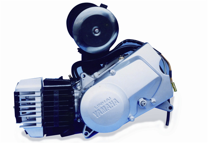 W020150513298656358682 W020150513298656358682