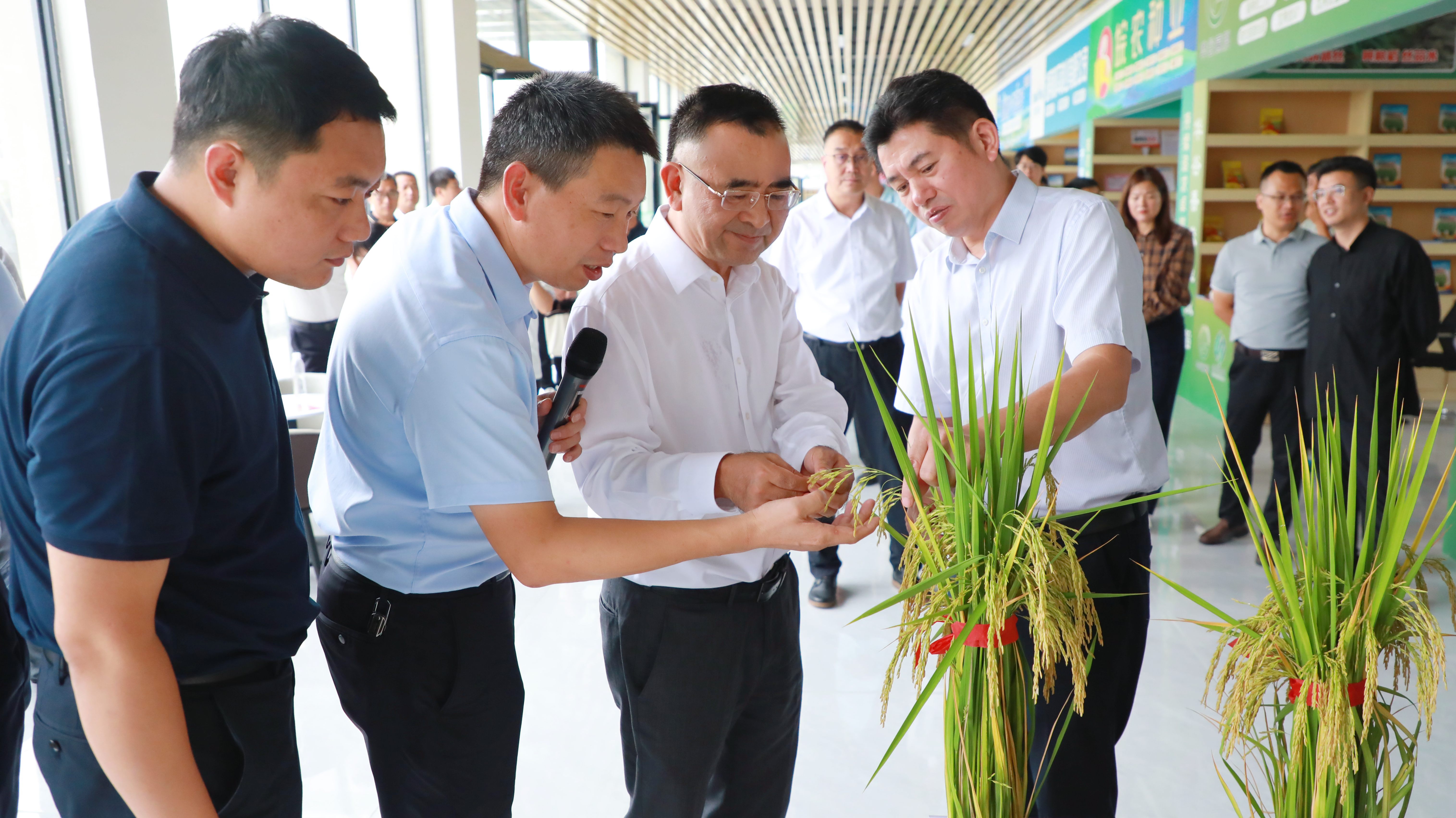 йyl23411()޹˾-ٷվ