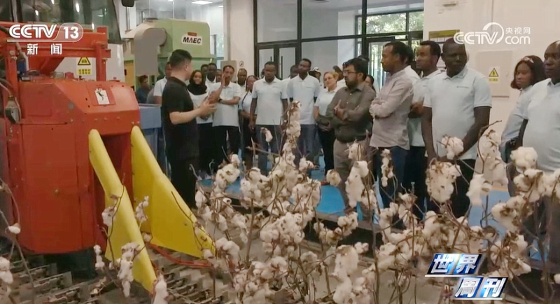 йyl23411()޹˾-ٷվ