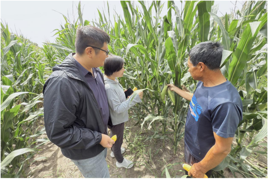 йyl23411()޹˾-ٷվ